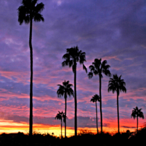 Yuma Sunset